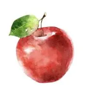 りんごの画像