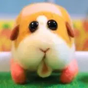 ぱにゅの画像