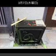 みぃちゃん