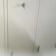 カタツムリの画像