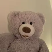 こむの画像