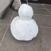ぱちた