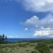 のんのの画像