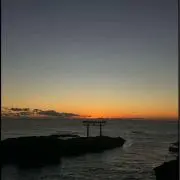 おさかなさんの画像