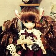 みけ