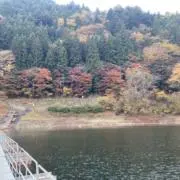 音速の貴公子の画像