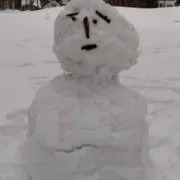 ヤーの画像