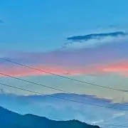 茶々丸