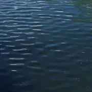 ロッベン
