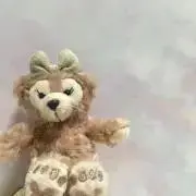 RN*プロフ一読お願いしますの画像