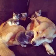 まなか＊プロフ必読の画像