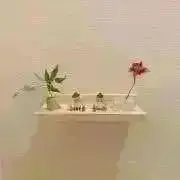 コトの画像