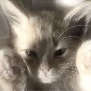 ℛ⭐︎の画像