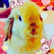 Maru