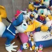 クロノラの画像