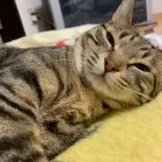 LaLa☆