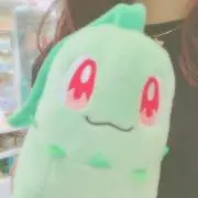 チコリ