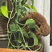 やぁ。　【プロフィール必読】の画像