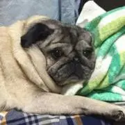 ヒロ