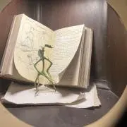 Sの画像