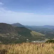 mocoの画像