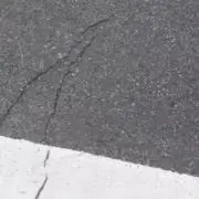 Dの画像
