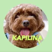 Ka pilina手作り国産無添加おやつ