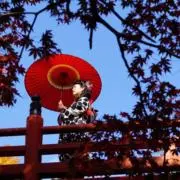 Junjun⭐︎値下げ交渉OK⭐︎の画像