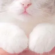 ♡