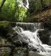 Hutの画像
