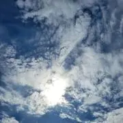 まゆ