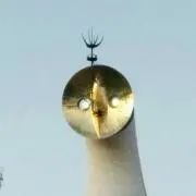 R*の画像