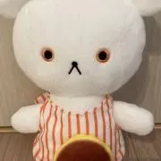ちののの画像
