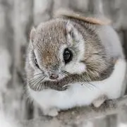 もっっの画像