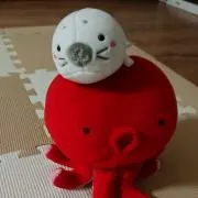 おきゅの画像