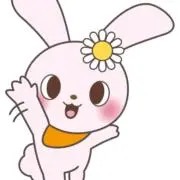 くまの画像