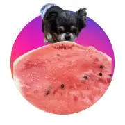Chrisの画像