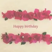 ナナ犬☆