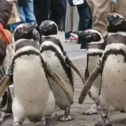 えびてんの画像