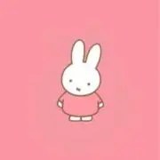 hsgの画像