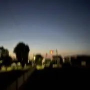 博