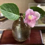 卯月の画像