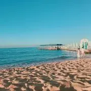 アロエ