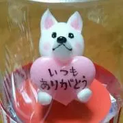 HA☆プロフ必読