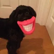 おぎ