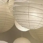 ぽての画像