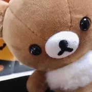 みいの画像