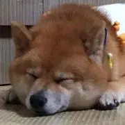 malulu☺︎