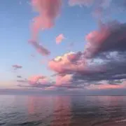 こなみ