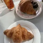 ぽんの画像